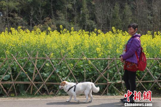 點(diǎn)擊進(jìn)入下一頁(yè)