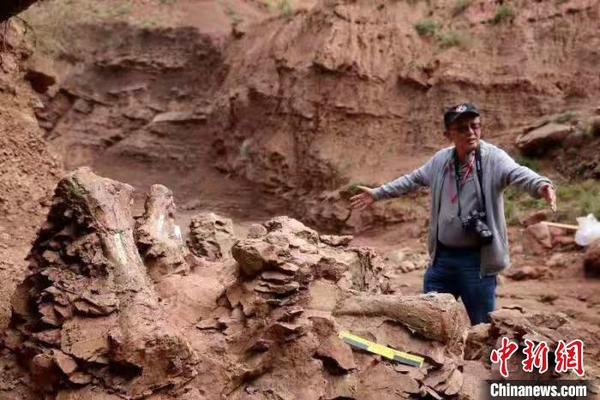 甘肅省臨夏回族自治州永靖縣官方在“黃河化石論壇”上披露稱，近期在該縣關(guān)山鄉(xiāng)紅樓村發(fā)現(xiàn)了巨龍形類蜥腳類和新鳥臀類恐龍化石?！『钇嬷?攝