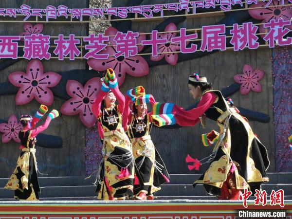 圖為林芝桃花節(jié)開幕場景，2019年3月29日，林芝第十七屆桃花旅游文化節(jié)在巴宜區(qū)開幕(資料圖)?！垈?攝