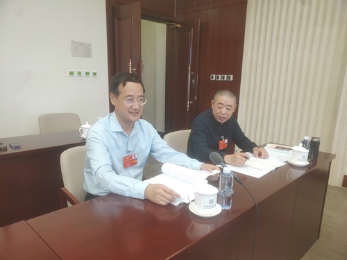文化藝術(shù)界王勇委員在小組會上