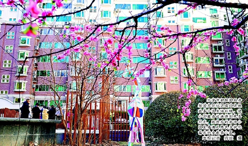 北京市朝陽區(qū)雙井街道光環(huán)社區(qū)通過系統(tǒng)改善小區(qū)生活環(huán)境，使小區(qū)服務(wù)設(shè)施得到完善補(bǔ)充，改造后的老舊小區(qū)變身滿足居民多樣化需求的全要素小區(qū)。    本報(bào)記者  齊波  攝
