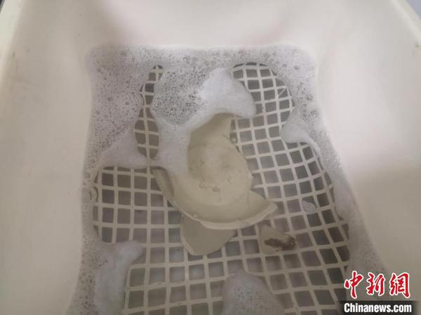 正在使用超聲波清洗的瓷器?！⊥τ?攝