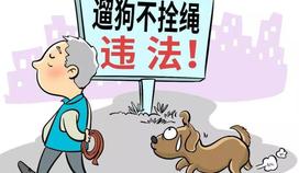 一案一說 | 行人被寵物狗驚嚇?biāo)さ?，狗主人要?dān)責(zé)嗎？