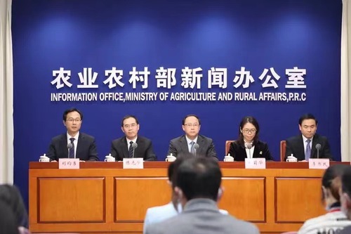圖說(shuō)：11月4日， 農(nóng)業(yè)農(nóng)村部舉行新聞發(fā)布會(huì)，介紹今冬明春重要農(nóng)產(chǎn)品生產(chǎn)保供情況。會(huì)上有關(guān)負(fù)責(zé)人介紹說(shuō)，我國(guó)糧食產(chǎn)量豐、庫(kù)存足，供給完全有保障。