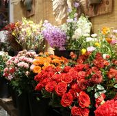 年宵花量價齊升 科技賦能“鮮花經(jīng)濟”