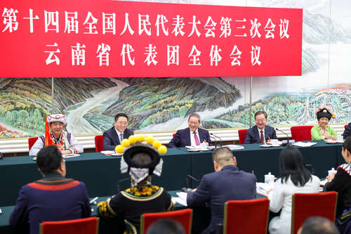 兩會丨李強(qiáng)參加云南代表團(tuán)審議(6584976)-20250306002202