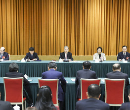 趙樂際參加致公黨、僑聯(lián)、對(duì)外友好界委員聯(lián)組會(huì)