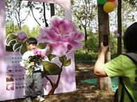 以芍藥花為媒 打造休閑體驗(yàn)新場景