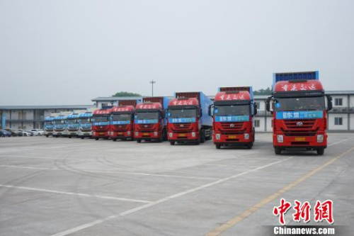 資料圖。圖為準(zhǔn)備發(fā)車的10輛標(biāo)準(zhǔn)集裝箱大卡車?！＄婌?攝